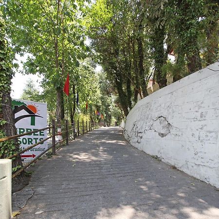 Oyo 5248 Surbee Resorts Mussoorie Exterior photo